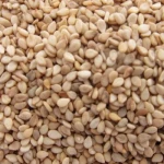 SESAME SEED