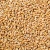 Import Hot selling wholesale durum Wheat in Bulk supply Top Quality Wheat Grains soft wheat in bulk for sale Best Quality from Tanzania
