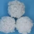 Import hollow conjugated polyester staple fiber 3D 32MM HCS from China
