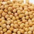 Import High Protein, Organic Yellow Soybeans, Gluten Free from Malaysia