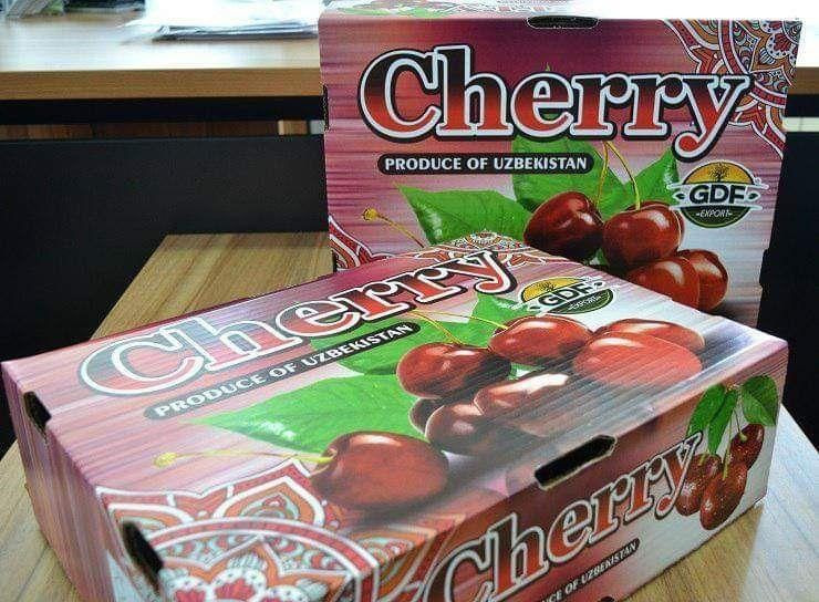 Buy Fresh Cherry From Uzbekistan from Gold Dried Fruits Export, Uzbekistan