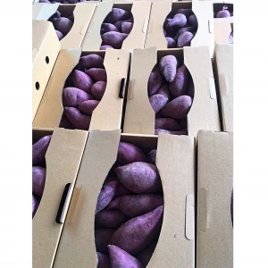 New Crop Fresh sweet potato From Vietnam Good Price For Wholesale