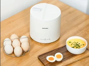 Multifunctional Egg Cooker: Perfect Eggs Every Time with Versatile Cooking Options
