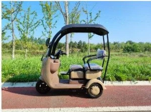 Recreational Electric Three wheeled Vehicle with 2 Seating Capacity and a baby Seat.