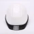 Import CE En149/ANSI Z87.1 Class E Hard Hat with Transparent Brim ABS Safety Helmet from China