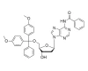 5'-O-DMT Protected Nucleosides
