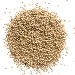 Wholesale Organic Black Mustard Seeds High Quality Natural Spice Herb Raw Processing Dried Preserved