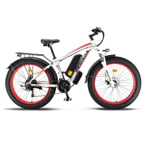 1000W 48V 17.5ah Li-ion Battery Electric Bike with UL Certified
