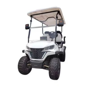 New Style Powerful Electric All Terrain Vehicle 3000W-6000W Electric Golf Cart