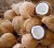 Import Coconut Shell (Husked and Semi Husked) from Indonesia