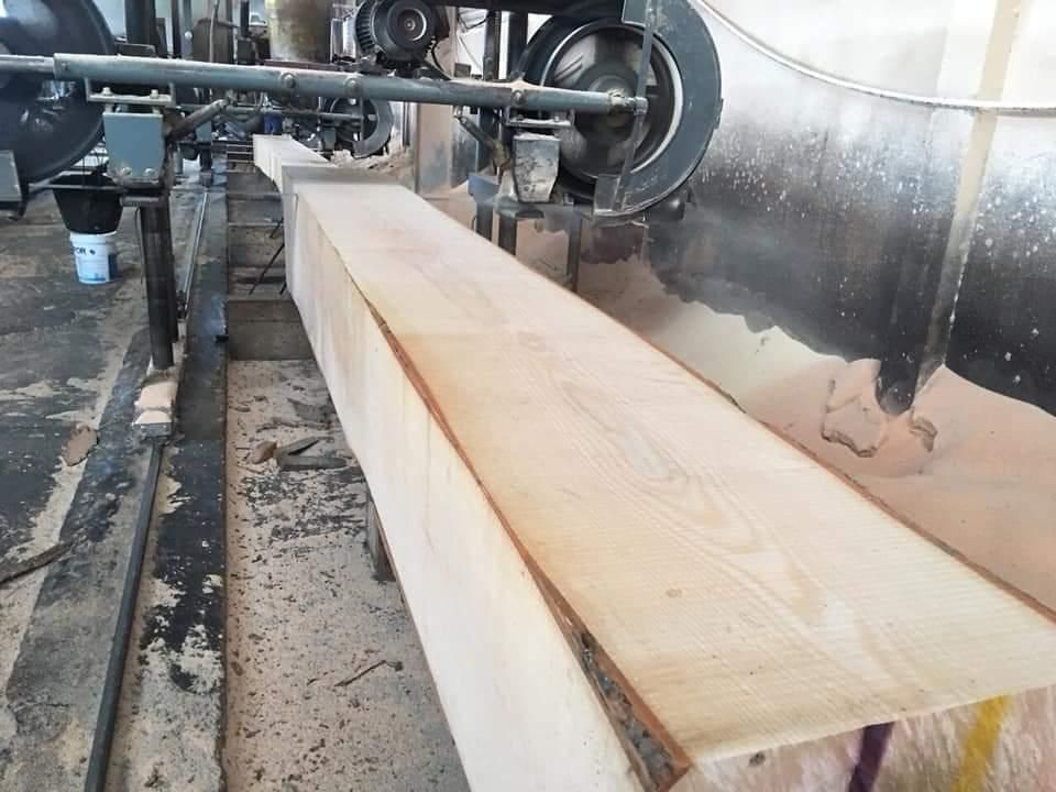 Buy Beech Lumber/timber from A J Plywood (Thailand) Co., Ltd., Thailand