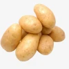 potato fresh new corped