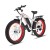 Import 1000W 48V 17.5ah Li-ion Battery Electric Bike with UL Certified from USA