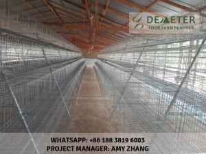 chicken layer cages for sale in nigeria