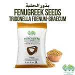 Fenugreek Seeds- Trigonella Foenum-Graecum