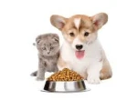 Dog Food