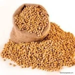 Non-GMO soybeans, sesame seeds, Cashew nuts, Cocoa beans, Palm oil