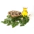 Import 100% Pure and Natural  bulk prices Moringa Carrier Oil from India