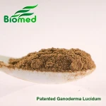 100% pure natural Ganoderma Lucidum powder