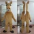 Import 2016 Wholesale High Quality Teddy Mascot from China