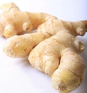 2018 China origin ginger young ginger/chinese laiwu ginger/fresh mature ginger