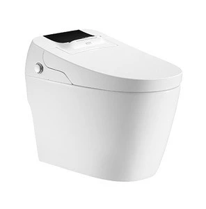 2019 Latest Factory Price Electronic Intelligent Combination Bidet Toilet ZJZ-2100