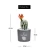 Import 2020 Hot Selling Pinrui New Home Decoration Ceramic pot  Cactus Artificial Succulent Plants from China