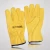 Import 2021 Hot Sale Genuine Sheepskin Leather Driver Gloves For Men from Pakistan