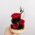 Import 2021 New Design Preserved Flowers In Glass Dome Preserved Rose Flower With Best Quality from China