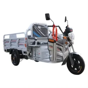 2024 New China Tricycle Electric Freight Tricycle Is Suitable