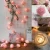Import 20/40 LED Rose Flower Lights String Fairy Wedding Christmas Party Garden Decor from China