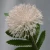 Import 3 heads dandelion Wedding Decor Chrysanthemum Flower Artificial Dandelion Flowers For Bouquet from China