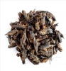 10030 Xi shuai Natural dried wild Gryllolaptaptidae chinese mole cricket insects for pet food