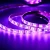 Import 5M waterproof rgb smart led light strips from China