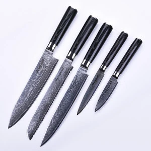 5pcs Japanese Damascus Steel Kitchen Knives Set