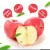 Import 80mm   fresh natural fuji apples from China