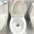 Import A-P1010 Plastic one-plece wc toilet,sanitary one piece toilet,siphon one piece toilet from China