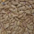 Import Grade AAA, Factory Price, Fried Peanuts with Salt Seasoning from China