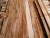 Import Acacia sawn timber/ sawn timber/ pallet sawn timber from Vietnam