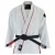 Import Adult Brazilian Jiu Jitsu Uniform Custom Made Bjj Gi Competition Grappling Gi Kimono JSW-JJG-2039 from Pakistan