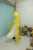 Import Adults Funny Halloween Party Walking Mascot Inflatable Banana Costume for sale from China