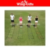 AGILITY LADDER &amp; CONES Powerful Training Equipment to Boost Performance and Cardio in Soccer