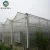 Import Agricultural planting greenhouse PC board greenhouse hydroponic system from China