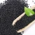 Import Agricultural Product Msg by-product Fertilizer Organic Fertilizers/bio Natural Organic Fertilizer from China