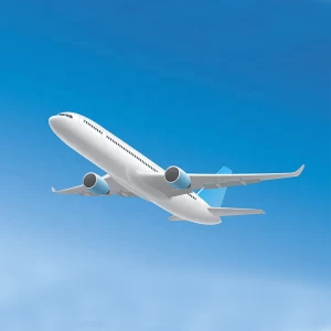 Air freight cheapest price from guangdong/zhejiang to India New Delhi,Mumbai Customs clearance to door