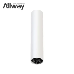 Allway New Design Adjustable Surface Mounted Ceiling Dimmable Downlight Commercial Indoor 15 W LED Spotlights