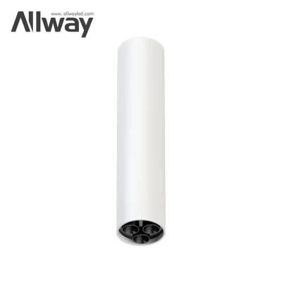 Allway New Design Adjustable Surface Mounted Ceiling Dimmable Downlight Commercial Indoor 15 W LED Spotlights
