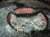 Import Aluminium Scrap Electric Crucible Melting Furnace from China