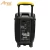 Import Amaz China direct factory sales flashing light speaker 12 inch speaker trolley battery speaker from China