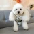 Import Amazon Hot Sale Accessories Pets Cloths Dog Hoodie Pet Clothes from China